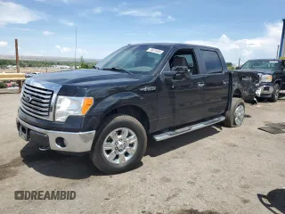 2010 Ford F-150 XL with VIN 1FTEW1E89AFB36912, listed as a Copart auction lot 59979485 with 99,476 mi miles and Salvage title. Bid and sale history available at DreamBid. Image 1.