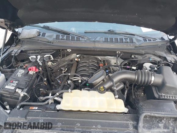 2019 Ford F-150 XL with VIN 1FTFX1E5XKKD99233, listed as a IAAI auction lot 41369349 with 1 mi miles. Bid and sale history available at carsss.com. Image 10.