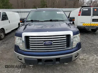 2010 Ford F-150 XL with VIN 1FTEX1E81AFB18871, listed as a Copart auction lot 51140165 with 163,462 mi miles and Clean Title. Bid and sale history available at carsss.com. Image 5.