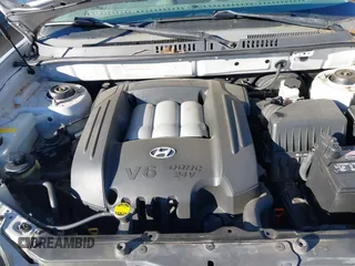 2002 Hyundai Santa Fe GLS with VIN KM8SC73D52U303824, listed as a IAAI auction lot 41442083 with 171,048 mi miles. Bid and sale history available at carsss.com. Image 10.