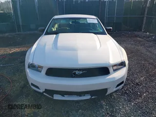2010 Ford Mustang V6 with VIN 1ZVBP8AN7A5155689, listed as a IAAI auction lot 41775195 with 179,353 mi miles and . Bid and sale history available at DreamBid. Image 13.