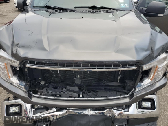 2019 Ford F-150 XL with VIN 1FTEW1E41KFC39126, listed as a Copart auction lot 61358815 with 43,765 mi miles and Salvage title. Bid and sale history available at DreamBid. Image 11.