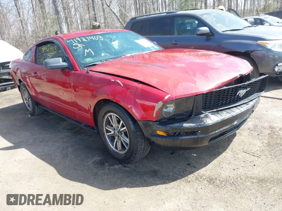 2005 Ford Mustang Deluxe with VIN 1ZVFT80NX55119984, listed as a IAAI auction lot 41921403 with 243,278 mi miles and . Bid and sale history available at DreamBid. Image 1.