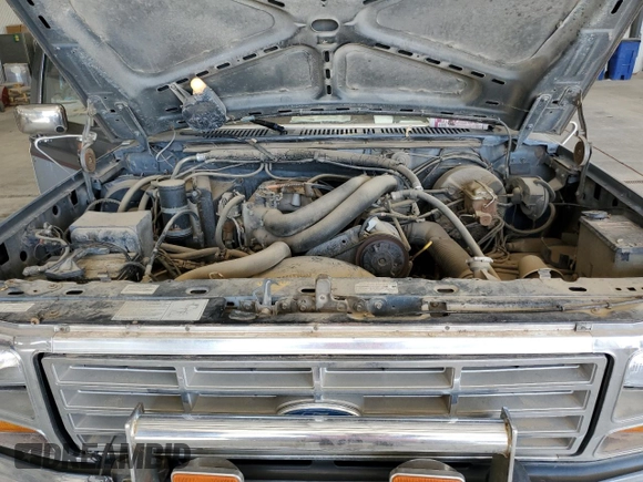 1986 Ford F-150 with VIN 1FTEF14NXGPB18719, listed as a Copart auction lot 56383625 with 16,249 mi miles and Salvage title. Bid and sale history available at DreamBid. Image 11.