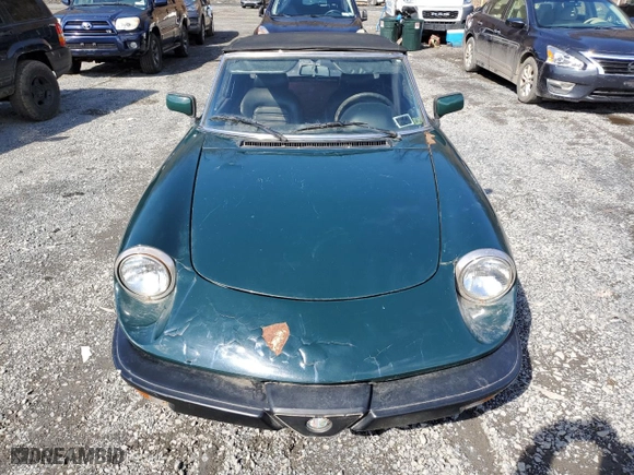 1983 Alfa Romeo Alfa Romeo Veloce with VIN ZARBA541XD1016802, listed as a Copart auction lot 51383595 with 127,904 mi miles and Clean Title. Bid and sale history available at carsss.com. Image 5.