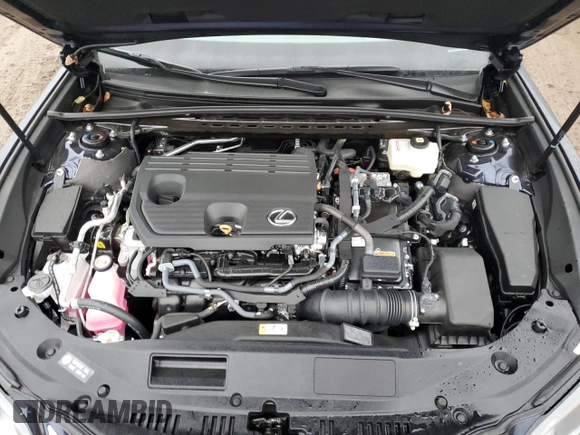2024 Lexus ES 300h Luxury with VIN 58AEA1C11RU039414, listed as a Copart auction lot 86206254 with 5,009 mi miles and Salvage title. Bid and sale history available at DreamBid. Image 11.