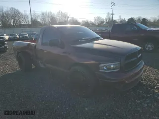 2003 Dodge Ram 1500 ST with VIN 1D7HA16NX3J667087, listed as a Copart auction lot 43028795 with 138,703 mi miles and Salvage Title. Bid and sale history available at carsss.com. Image 4.