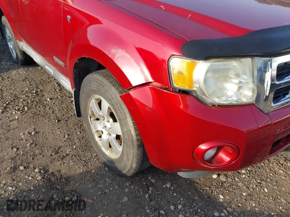 2008 Ford Escape XLT with VIN 1FMCU93198KB91844, listed as a IAAI auction lot 42493079 with Not provided miles and . Bid and sale history available at DreamBid. Image 6.