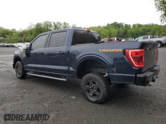 2023 Ford F-150 XL with VIN 1FTFW1E50PFA81169, listed as a Copart auction lot 55646095 with Not provided miles and Salvage title. Bid and sale history available at DreamBid. Image 2.