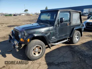 2003 Jeep Wrangler X with VIN 1J4FA39S33P357059, listed as a Copart auction lot 48983315 with 166,532 mi miles and Salvage Title. Bid and sale history available at carsss.com. Image 1.