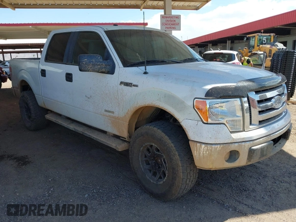 2012 Ford F-150 XL z VIN 1FTFW1ET5CKD66305, wystawiony jako IAAI lot #42758322 z przebiegiem 204 320 mil mil oraz . Historia ofert i sprzedaży dostępna na DreamBid. Obrazek 1.