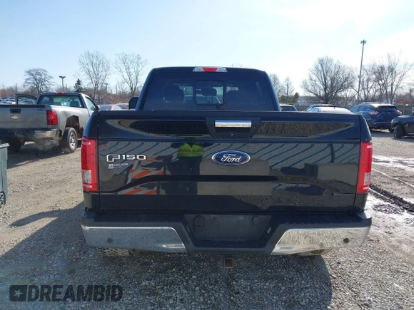 2017 Ford F-150 XL with VIN 1FTFW1EF9HFC67545, listed as a IAAI auction lot 41950482 with 120,222 mi miles and . Bid and sale history available at DreamBid. Image 16.