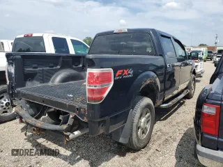 2009 Ford F-150 XL with VIN 1FTRW14809FA31805, listed as a Copart auction lot 59998575 with 199,115 mi miles and Clean title. Bid and sale history available at DreamBid. Image 3.