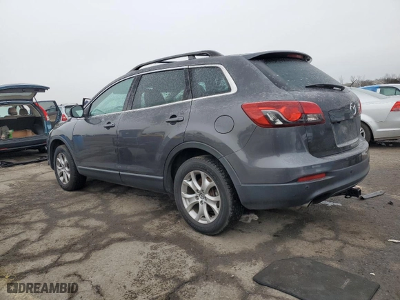 2014 Mazda CX-9 Touring with VIN JM3TB3CV4E0439135, listed as a Copart auction lot 44131685 with 137,200 mi miles and Salvage Title. Bid and sale history available at carsss.com. Image 2.