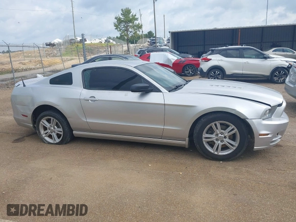 2014 Ford Mustang V6 с VIN 1ZVBP8AMXE5297192, выставлен на аукционе IAAI как лот 42231701 с пробегом Не указан миль и . История ставок и продаж доступна на DreamBid. Изображение 13.