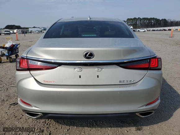 2019 Lexus ES with VIN 58ABZ1B17KU035242, listed as a Copart auction lot 43614815 with NaN miles and Salvage Title. Bid and sale history available at carsss.com. Image 6.