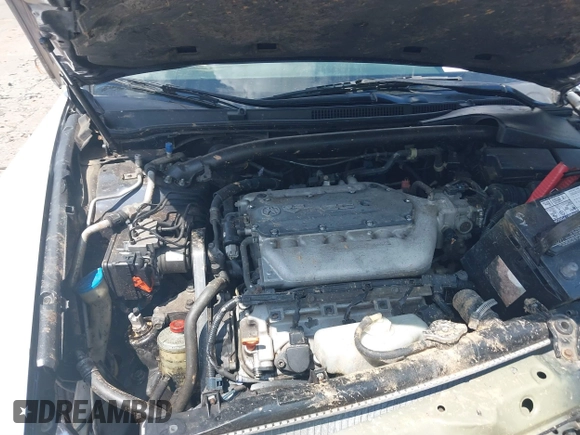 2005 Acura TL with VIN 19UUA66225A048290, listed as a IAAI auction lot 40071188 with 1 mi miles. Bid and sale history available at carsss.com. Image 10.