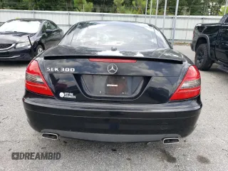 2010 Mercedes-Benz SLK-Class SLK 300 with VIN WDBWK5EA0AF230525, listed as a Copart auction lot 62399164 with 38,250 mi miles and Salvage Title. Bid and sale history available at carsss.com. Image 6.
