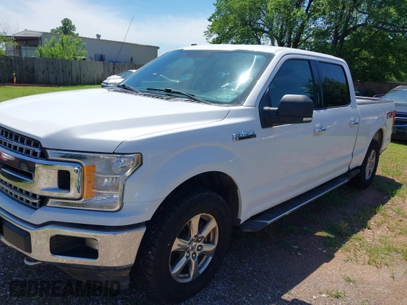 2018 Ford F-150 XL with VIN 1FTFW1E5XJKE02519, listed as a IAAI auction lot 42180274 with 184,101 mi miles. Bid and sale history available at carsss.com. Image 19.