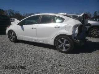 2018 Kia Forte LX with VIN 3KPFL4A75JE225608, listed as a Copart auction lot 49241415 with 188,236 mi miles and Salvage Title. Bid and sale history available at carsss.com. Image 2.