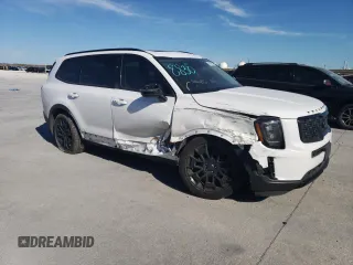 2021 Kia Telluride EX with VIN 5XYP3DHC3MG136781, listed as a Copart auction lot 47560575 with 59,247 mi miles and Salvage Title. Bid and sale history available at DreamBid. Image 4.