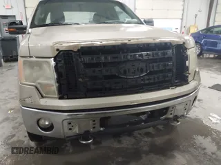 2009 Ford F-150 XL with VIN 1FTPX14V59KB32033, listed as a IAAI auction lot 42396083 with 298,749 mi miles and . Bid and sale history available at DreamBid. Image 6.