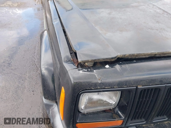 1999 Jeep Cherokee Sport z VIN 1J4FF68SXXL649633, wystawiony jako IAAI lot #41992258 z przebiegiem 121 042 mil mil oraz . Historia ofert i sprzedaży dostępna na DreamBid. Obrazek 6.