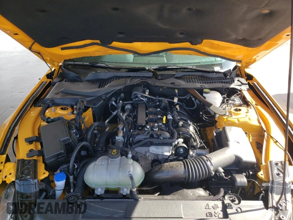2022 Ford Mustang EcoBoost with VIN 1FATP8UH2N5147928, listed as a Copart auction lot 48338643 with 4,570 mi miles and . Bid and sale history available at DreamBid. Image 11.
