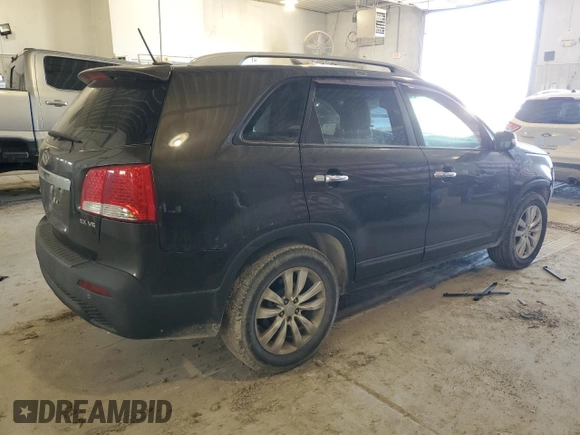 2011 Kia Sorento EX with VIN 5XYKU4A2XBG131972, listed as a Copart auction lot 48138315 with 258,248 mi miles and Salvage Title. Bid and sale history available at carsss.com. Image 3.