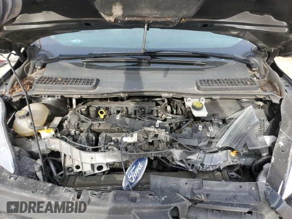 2017 Ford Escape S with VIN 1FMCU0F74HUB97616, listed as a Copart auction lot 79323164 with 113,199 mi miles and Salvage title. Bid and sale history available at DreamBid. Image 12.