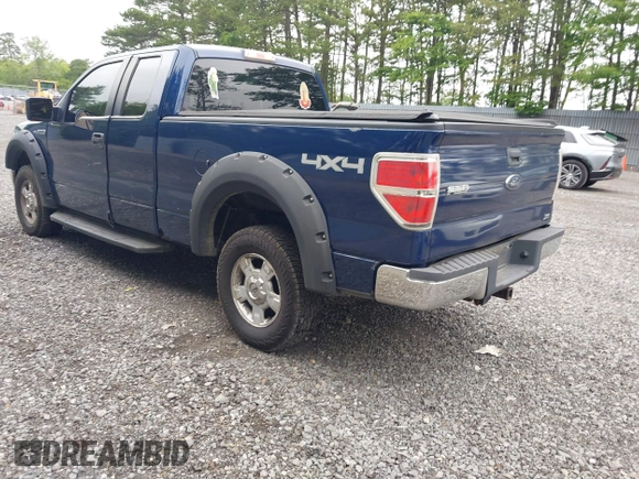 2010 Ford F-150 XL with VIN 1FTFX1EV6AFB54842, listed as a IAAI auction lot 42441003 with 183,415 mi miles and . Bid and sale history available at DreamBid. Image 3.