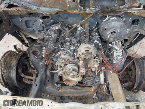 2014 Ram 2500 with VIN 3C6TR5MT7EG125012, listed as a IAAI auction lot 41501509 with Not provided miles and . Bid and sale history available at DreamBid. Image 10.