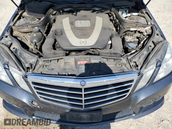 2010 Mercedes-Benz E 350 Luxury with VIN WDDHF8HB6AA236577, listed as a Copart auction lot 61032405 with 169,988 mi miles and Clean title. Bid and sale history available at DreamBid. Image 11.