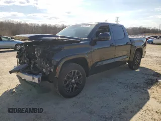 2022 Toyota Tundra Platinum with VIN 5TFNA5DB8NX027893, listed as a Copart auction lot 46142685 with 33,273 mi miles and Clean title. Bid and sale history available at DreamBid. Image 1.