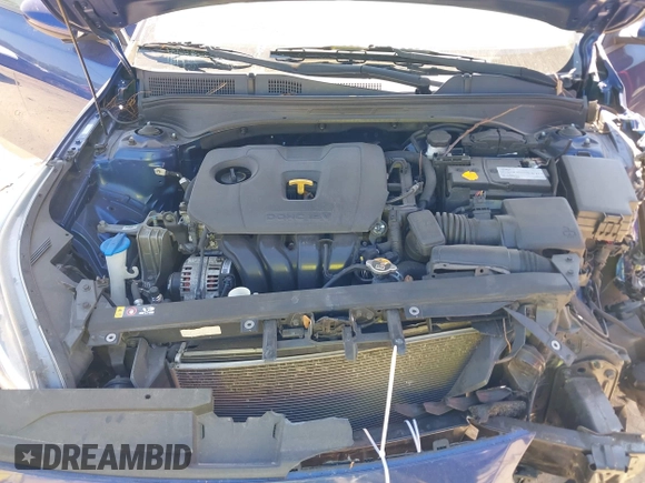 2019 Kia Forte LXS with VIN 3KPF24AD2KE061065, listed as a IAAI auction lot 41887404 with 77,628 mi miles and . Bid and sale history available at DreamBid. Image 10.