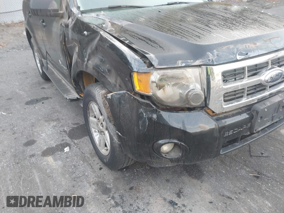 2011 Ford Escape Hybrid with VIN 1FMCU4K3XBKB04742, listed as a IAAI auction lot 40557688 with 258,767 mi miles and . Bid and sale history available at DreamBid. Image 6.