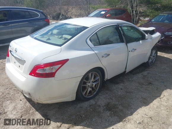 2010 Nissan Maxima SV with VIN 1N4AA5AP9AC822215, listed as a IAAI auction lot 41847782 with Not provided miles and . Bid and sale history available at DreamBid. Image 4.