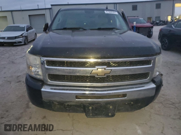 2009 Chevrolet Silverado 1500 LT with VIN 3GCEK23319G196489, listed as a Copart auction lot 87068324 with Not Provided miles and Salvage Title. Bid and sale history available at DreamBid. Image 5.