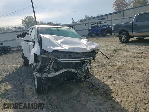 2018 GMC Canyon 4WD SLE with VIN 1GTG6CEN6J1306263, listed as a Copart auction lot 80890294 with Not provided miles and Salvage title. Bid and sale history available at DreamBid. Image 10.