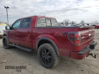 2014 Ford F-150 XL with VIN 1FTFW1EF9EKF99259, listed as a Copart auction lot 49588665 with Not provided miles and Salvage title. Bid and sale history available at DreamBid. Image 2.