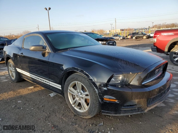 2013 Ford Mustang V6 with VIN 1ZVBP8AM2D5220881, listed as a Copart auction lot 50073325 with 173152 miles and Clean Title. Bid and sale history available at carsss.com. Image 4.