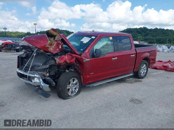 2016 Ford F-150 XLT with VIN 1FTEW1EP7GKD30796, listed as a IAAI auction lot 41213566 with Not provided miles and . Bid and sale history available at DreamBid. Image 14.