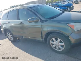 2009 Honda CR-V EX-L with VIN 5J6RE48709L027643, listed as a IAAI auction lot 41985380 with 273,156 mi miles. Bid and sale history available at carsss.com. Image 6.