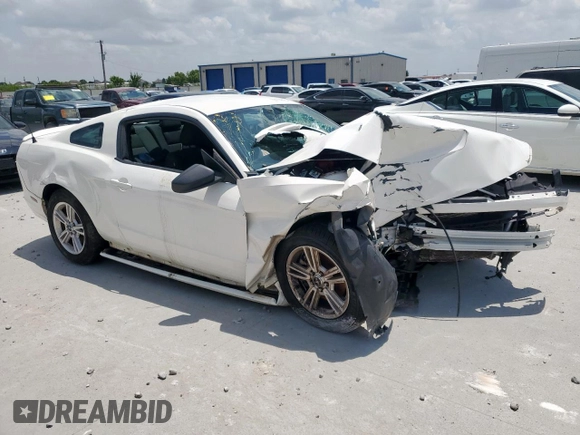 2013 Ford Mustang V6 with VIN 1ZVBP8AM0D5279122, listed as a Copart auction lot 65133915 with Not provided miles and Salvage title. Bid and sale history available at DreamBid. Image 4.