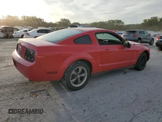 2006 Ford Mustang Standard with VIN 1ZVFT80N865182020, listed as a Copart auction lot 72378374 with Not Provided miles and Salvage Title. Bid and sale history available at carsss.com. Image 3.
