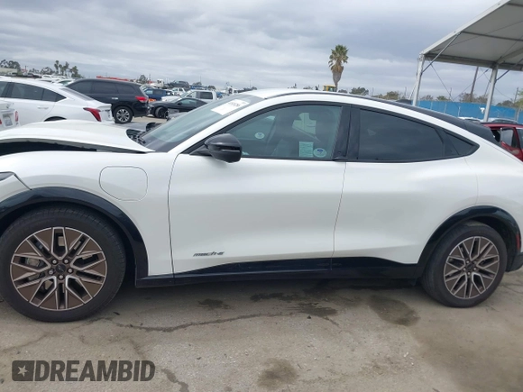 2024 Ford Mustang Mach-E Premium with VIN 3FMTK3R48RMA01496, listed as a IAAI auction lot 41818286 with 16,243 mi miles and . Bid and sale history available at DreamBid. Image 14.