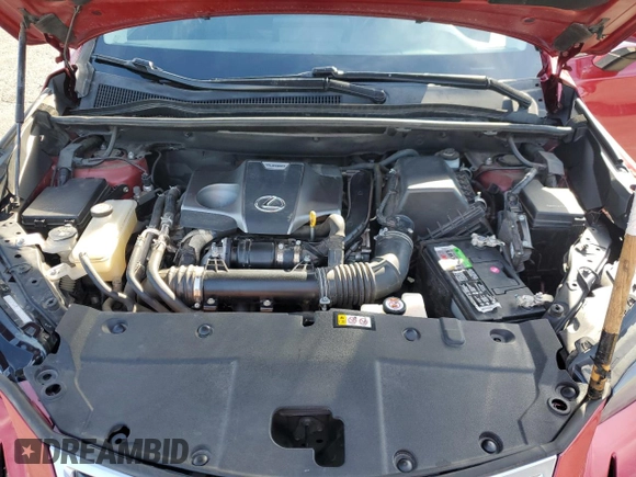2020 Lexus NX 300 with VIN JTJAARBZXL5001159, listed as a Copart auction lot 50264585 with 49,024 mi miles and Salvage title. Bid and sale history available at DreamBid. Image 12.
