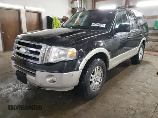 2010 Ford Expedition Eddie Bauer with VIN 1FMJU1J55AEA07129, listed as a Copart auction lot 44196625 with 150,253 mi miles and Salvage title. Bid and sale history available at DreamBid. Image 1.