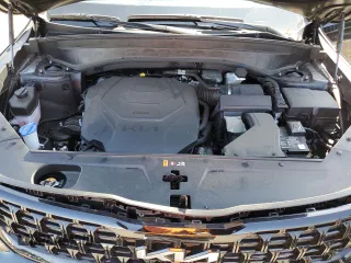 2024 Kia Telluride SX Prestige X-Pro with VIN 5XYP5DGC3RG489850, listed as a Copart auction lot 51286015 with 15,001 mi miles and Salvage title. Bid and sale history available at DreamBid. Image 13.