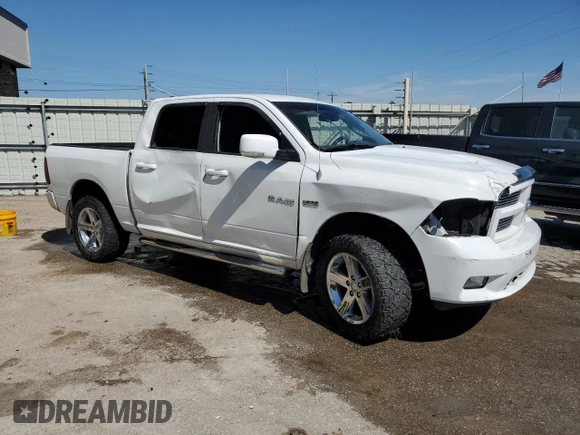 2010 Dodge 1500 SLT with VIN 1D7RV1CT0AS206922, listed as a Copart auction lot 53060375 with Not Provided miles and Salvage Title. Bid and sale history available at DreamBid. Image 4.